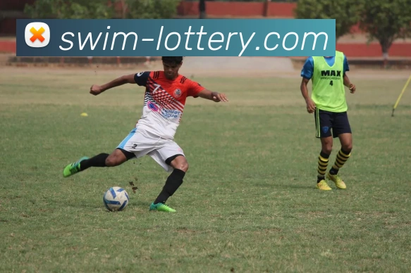 App Interface Preview